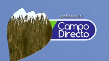 pending-youtube-automatic-561