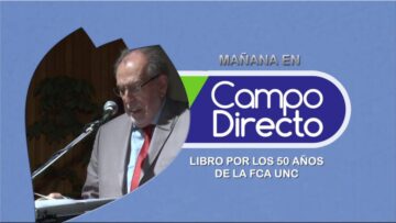 pending-youtube-automatic-556-1024×576