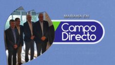 pending-youtube-automatic-557-1200×720