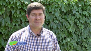 pending-youtube-automatic-571