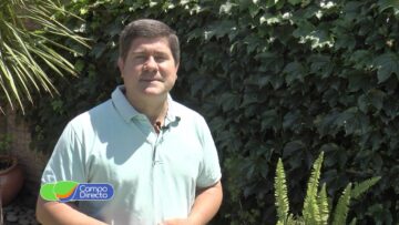 pending-youtube-automatic-566