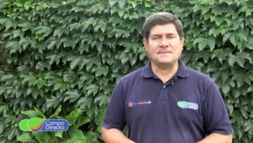 pending-youtube-automatic-567-1200×720