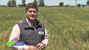 pending-youtube-automatic-569-1200×720