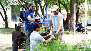 Vivero Agroforestal Córdoba Norte