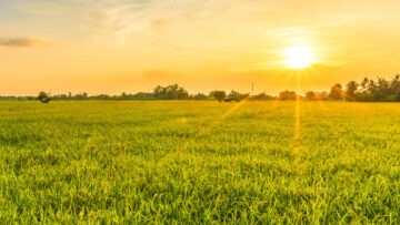 agricultura responsable