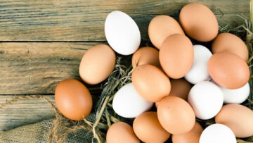 CREATOR: gd-jpeg v1.0 (using IJG JPEG v62), quality = 96