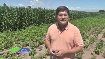 Pending – Youtube Automatic