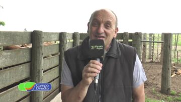 Pending – Youtube Automatic