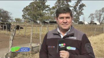 Planillas Programa Campo Directo 330 03-07-2021