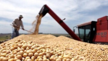 CREATOR: gd-jpeg v1.0 (using IJG JPEG v62), quality = 96