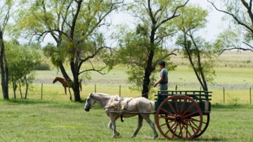 Estancia Buena Vista