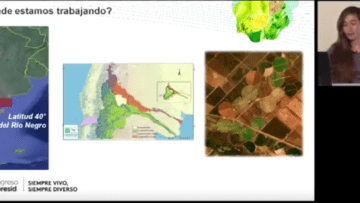 agricultura regenerativa