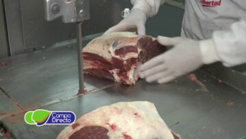 El consumo de carne en Argentinasituación y perspectivas para este año