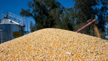 CREATOR: gd-jpeg v1.0 (using IJG JPEG v80), quality = 100