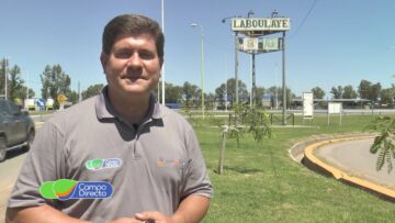 Pending – Youtube Automatic