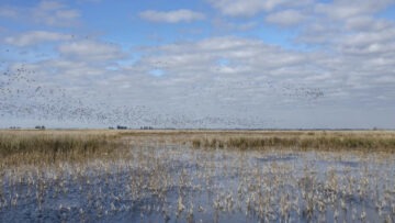 CREATOR: gd-jpeg v1.0 (using IJG JPEG v62), quality = 82