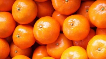 CREATOR: gd-jpeg v1.0 (using IJG JPEG v62), quality = 90