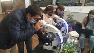 Fascinacion de las plantas