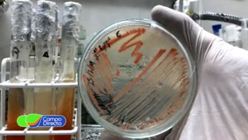 productos biologicos