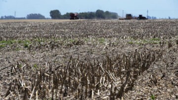 CREATOR: gd-jpeg v1.0 (using IJG JPEG v62), quality = 75