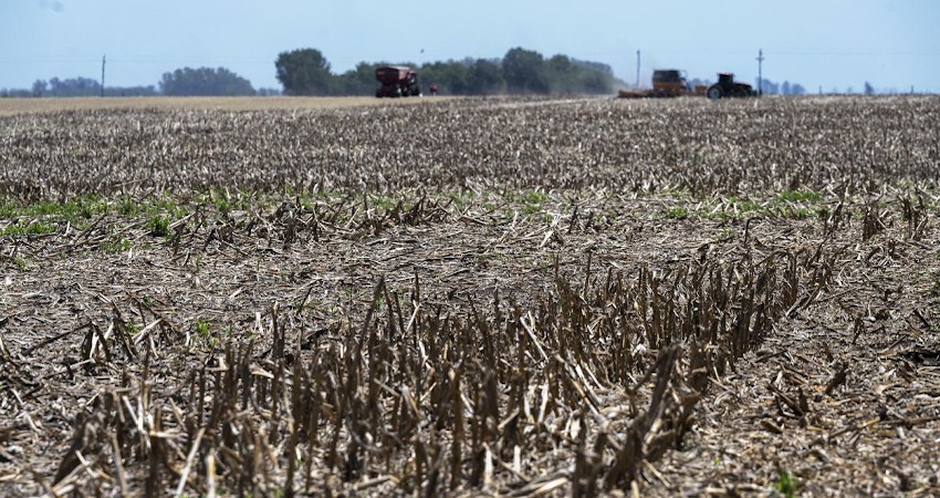 emergencia agropecuaria