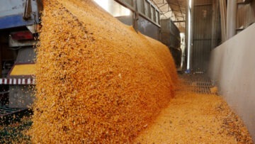 CREATOR: gd-jpeg v1.0 (using IJG JPEG v62), quality = 96