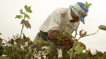 CREATOR: gd-jpeg v1.0 (using IJG JPEG v80), quality = 90