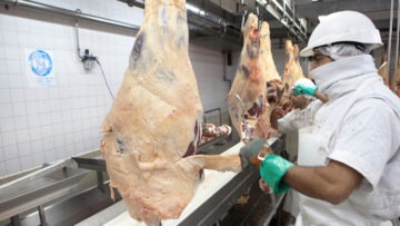 exportacion de carne