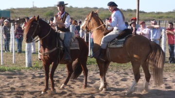 Caballos Criollos