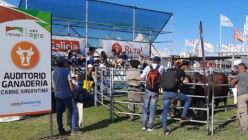 CREATOR: gd-jpeg v1.0 (using IJG JPEG v62), quality = 85