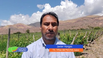 Javier Vargas