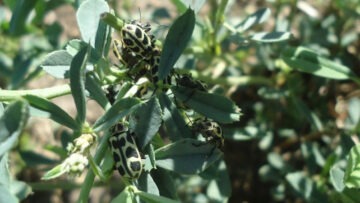 xr:d:DAFZ6EI4LUM:4,j:3281613582,t:23020716