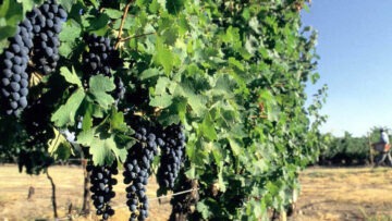 CREATOR: gd-jpeg v1.0 (using IJG JPEG v62), quality = 70