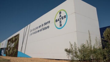 Bayer