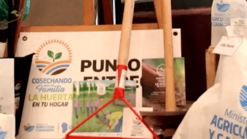 La Huerta en tu Hogar