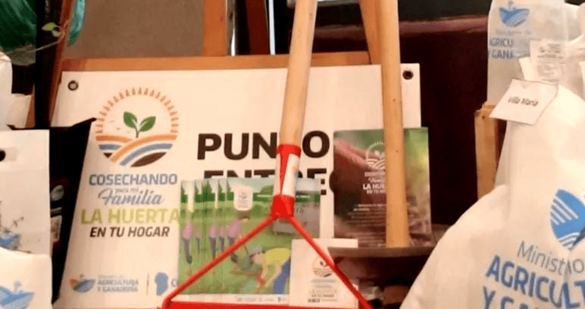 La Huerta en tu Hogar