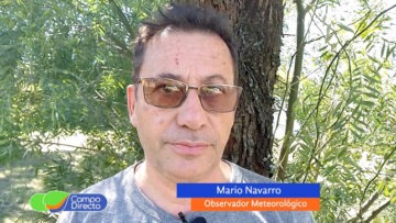 Mario Navarro