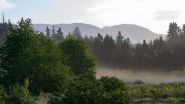 CREATOR: gd-jpeg v1.0 (using IJG JPEG v62), quality = 90