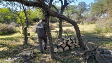 xr:d:DAFM4oQnHEI:66,j:48217639732,t:23030616