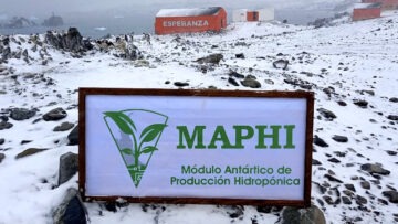 hidroponia en la Antartida