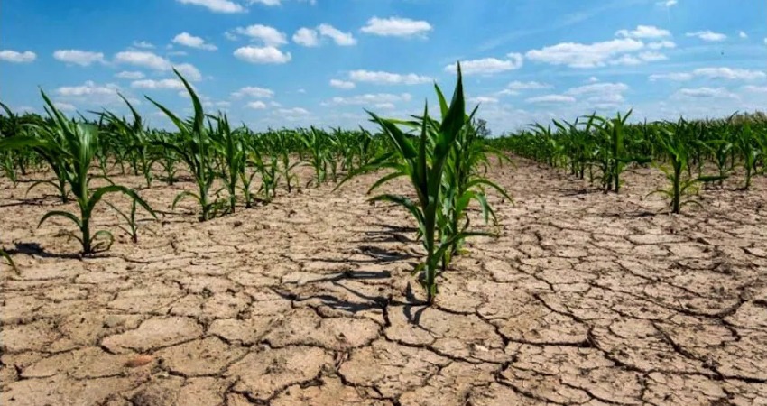 emergencia agropecuaria