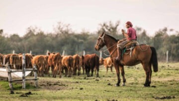 CREATOR: gd-jpeg v1.0 (using IJG JPEG v62), quality = 90