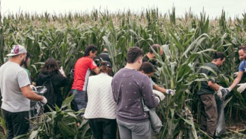 Chocleada Solidaria (1)