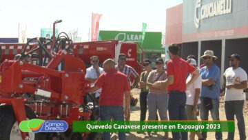 Quevedo Canavese