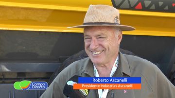 Roberto Ascanelli