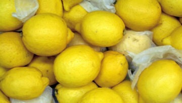 economias regionales