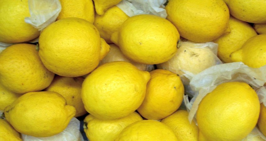 economias regionales