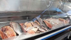 CREATOR: gd-jpeg v1.0 (using IJG JPEG v80), quality = 90