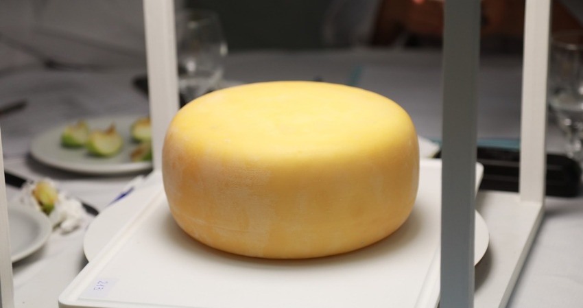 Concurso Nacional de Quesos