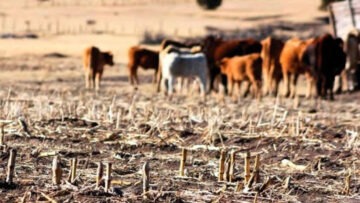 CREATOR: gd-jpeg v1.0 (using IJG JPEG v62), quality = 80